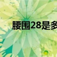 腰围28是多少cm（腰围28是多少厘米）