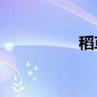 稻草人旗下有哪些品牌