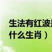 生法有红波是什么生肖?（果实盘中出红波是什么生肖）