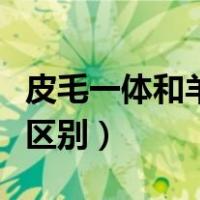 皮毛一体和羊剪绒的区别（皮毛一体和羊剪绒区别）