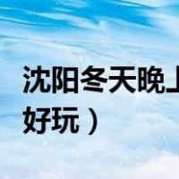 沈阳冬天晚上去哪溜达（沈阳冬天晚上去哪里好玩）