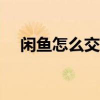 闲鱼怎么交易收款（闲鱼怎么交易付款）