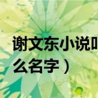 谢文东小说叫什么名字作者（谢文东小说叫什么名字）
