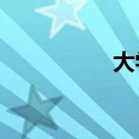 大学生素拓是什么意思