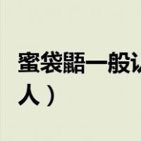 蜜袋鼯一般认几个主人（蜜袋鼯一般认几个主人）