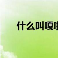 什么叫嘎啦哈（嘎啦哈子是什么意思）