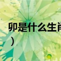 卯是什么生肖（卯字代表十二生肖中哪个动物）