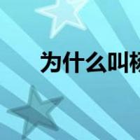 为什么叫杨菊花（为什么叫杨枝甘露）