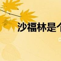 沙福林是个什么梗（沙福林是什么梗）