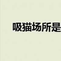 吸猫场所是什么（吸猫场所是什么意思）