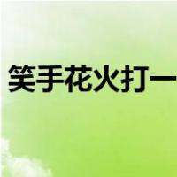 笑手花火打一个成语（微笑手花火什么成语）