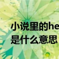 小说里的he,be是什么意思（小说里BE和HE是什么意思）