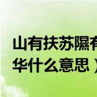 山有扶苏隰有荷华什么含义（山有扶苏隰有荷华什么意思）