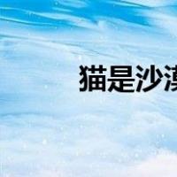 猫是沙漠动物吗（m是什么档位）