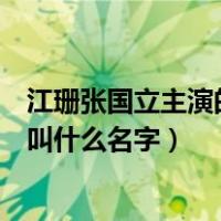 江珊张国立主演的电视剧有哪些（张国立与江珊演的电视剧叫什么名字）