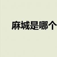 麻城是哪个省内（麻城是哪个省的城市）