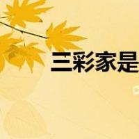 三彩家是否上市（三彩家是国企吗）
