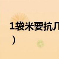 1袋米要抗几楼（一袋米要抗几楼是什么意思）