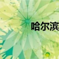 哈尔滨有多大（哈尔滨有多大）