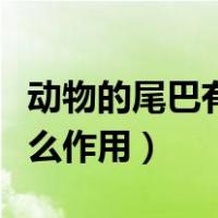 动物的尾巴有什么作用大全（动物的尾巴有什么作用）