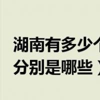 湖南有多少个市分别是哪些（湖南有多少个市分别是哪些）