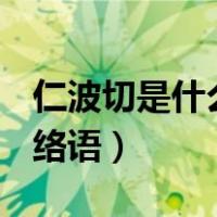 仁波切是什么意思网络语（rbq是什么意思网络语）