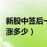 新股中签后一般能赚多少钱（新股中签后一般涨多少）