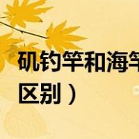矶钓竿和海竿有什么区别（矶竿跟海杆有什么区别）