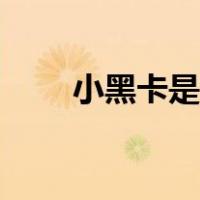 小黑卡是什么软件（小黑卡是什么）