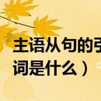 主语从句的引导词都有什么（主语从句的引导词是什么）