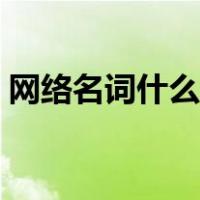 网络名词什么是牛马（网络名词什么叫沙雕）