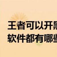 王者可以开黑的软件有什么（王者开黑组队的软件都有哪些）