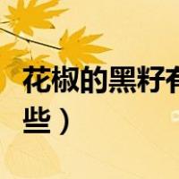 花椒的黑籽有什么用（花椒里的黑籽用途有哪些）