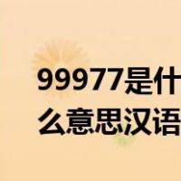 99977是什么意思中文怎么说（99977是什么意思汉语）