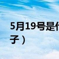 5月19号是什么星座的男（5月19号是什么日子）