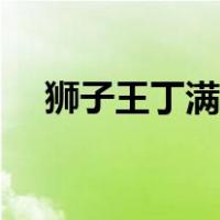 狮子王丁满的妈妈（狮子王丁满是什么）