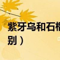 紫牙乌和石榴石一样吗（紫牙乌和石榴石的区别）