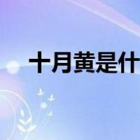 十月黄是什么水果（九月黄是什么水果）