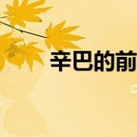 辛巴的前妻子（辛巴的前妻叫什么）