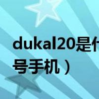 dukal20是什么型号手机（dukal20是什么型号手机）