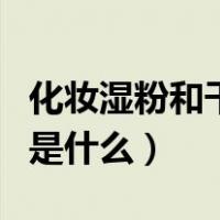 化妆湿粉和干粉的区别（湿粉在化妆中的作用是什么）