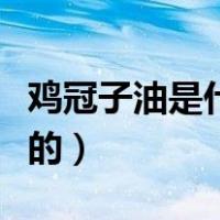 鸡冠子油是什么地方的（鸡冠子油是什么部位的）