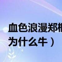 血色浪漫郑桐是什么特殊身份（血色浪漫郑桐为什么牛）