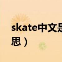 skate中文是什么意思（skate中文是什么意思）