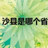 沙县是哪个省的县（沙县是哪个省的哪个市）