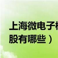 上海微电子概念股300225（上海微电子概念股有哪些）