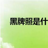黑牌照是什么意思（黑牌照是什么意思）