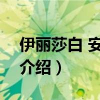 伊丽莎白 安 肖特（关于伊丽莎白 安 肖特的介绍）