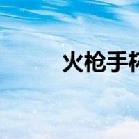 火枪手杯（关于火枪手杯的介绍）