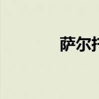 萨尔托（关于萨尔托的介绍）